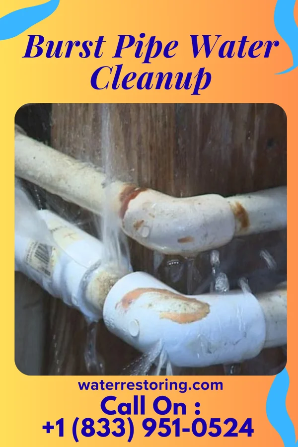 Burst Pipe Water Cleanup in East Lansdowne, PA