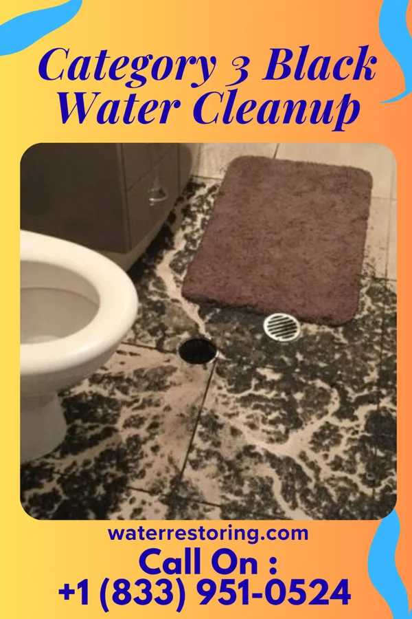 Category 3 Black Water Cleanup in East Lansdowne, PA