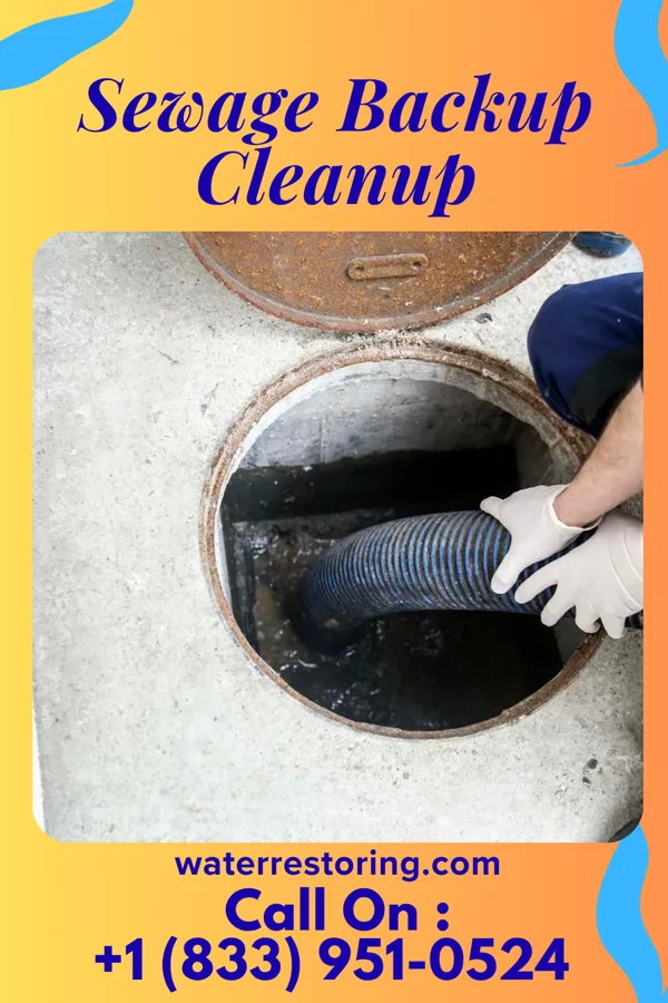 Sewage Backup Cleanup in East Lansdowne, PA