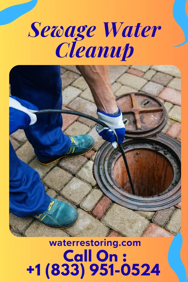 Sewage Water Cleanup in East Lansdowne, PA